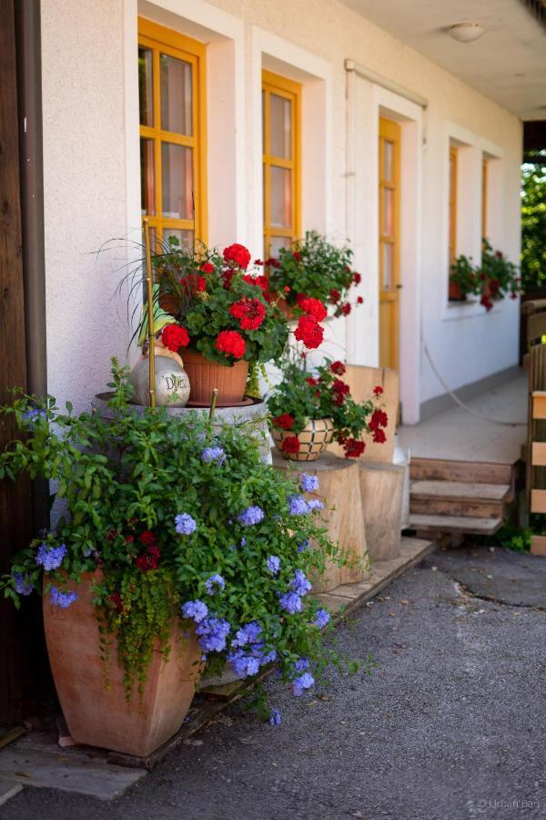 Gostilna Logar Hotel Hotemaze Exterior foto